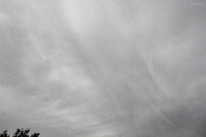Слоистые волнистые облака (Stratus undulatus)