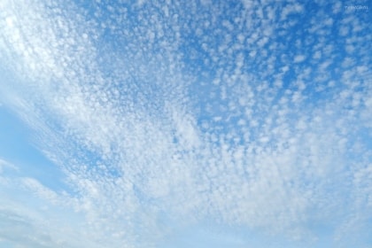 Высококучевые хлопьевидные облака (Altocumulus floccus)
