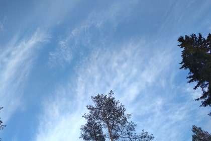 Перистые перепутанные облака (Cirrus intortus)