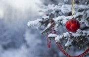 Специальный новогодний прогноз 31 декабря - 2 января